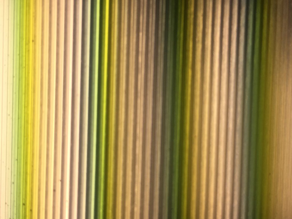 Lines of color featuring green and yellow