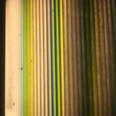 Shades of yellow and green in vertical stripes creating abstract texture