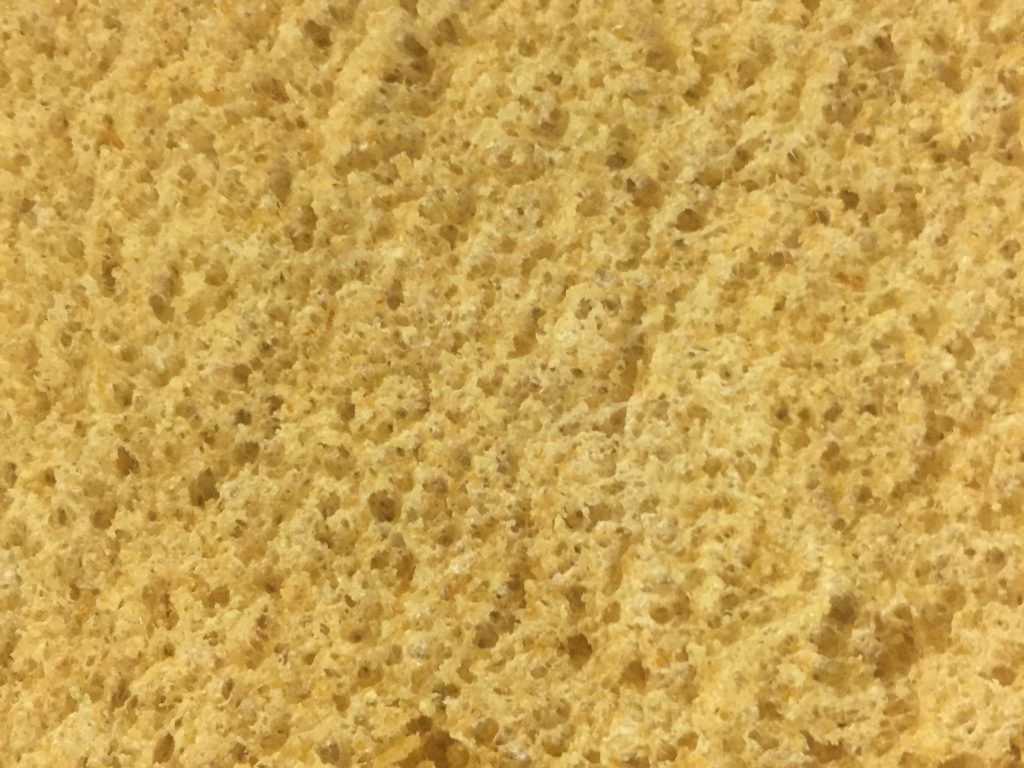 Yellow sponge texture close up
