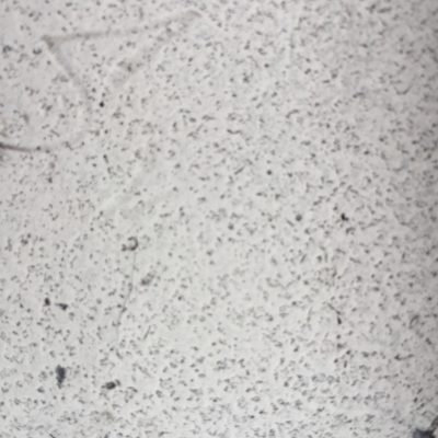 White surface with speckled black spots throughout