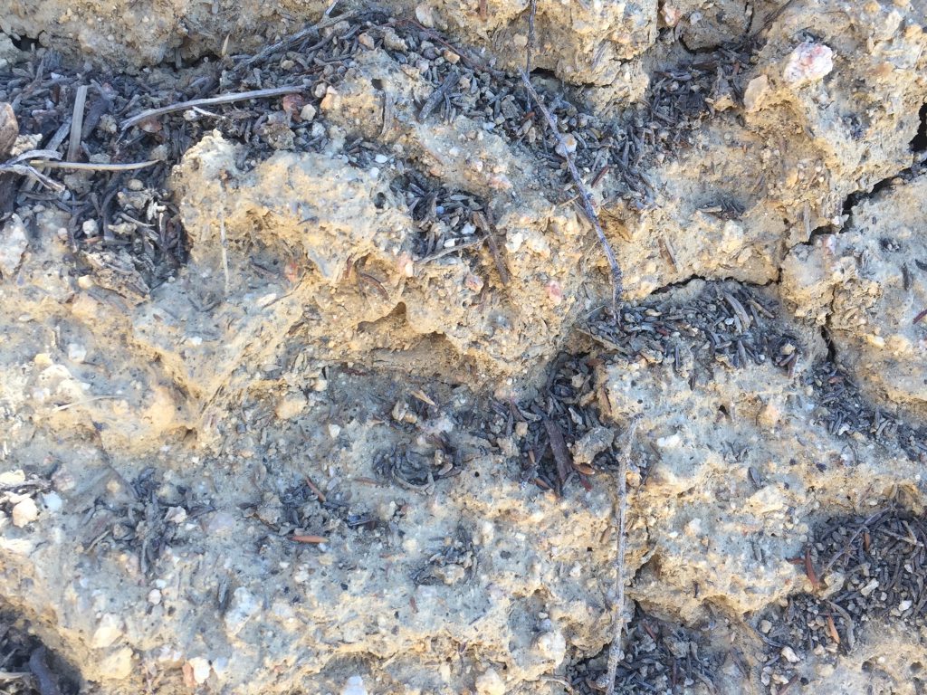 Light brown dried earth with large cracks