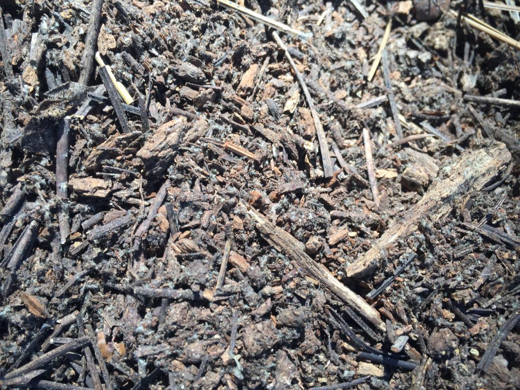 Crumbled mulch with sticks and dirt