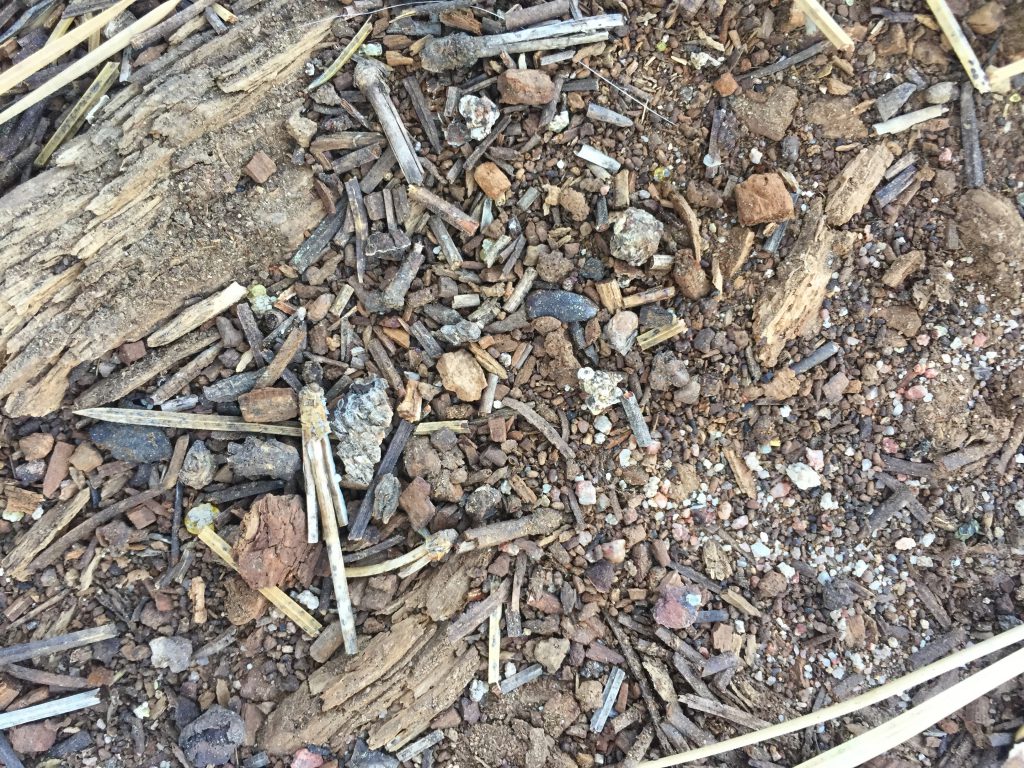 Dried earth with small rocks and chunks of wood