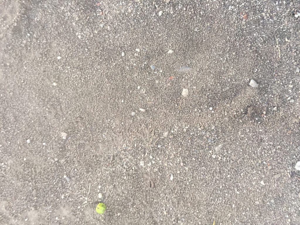 Light grey earth with fine dirt and mix of small rocks