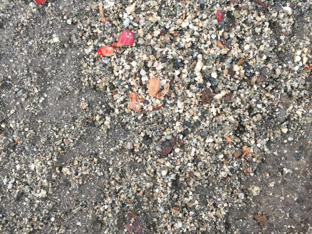 Earth with gravel and dead foliage