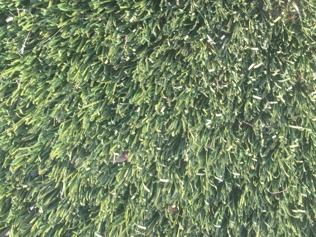 Astroturf grass with medium length blades