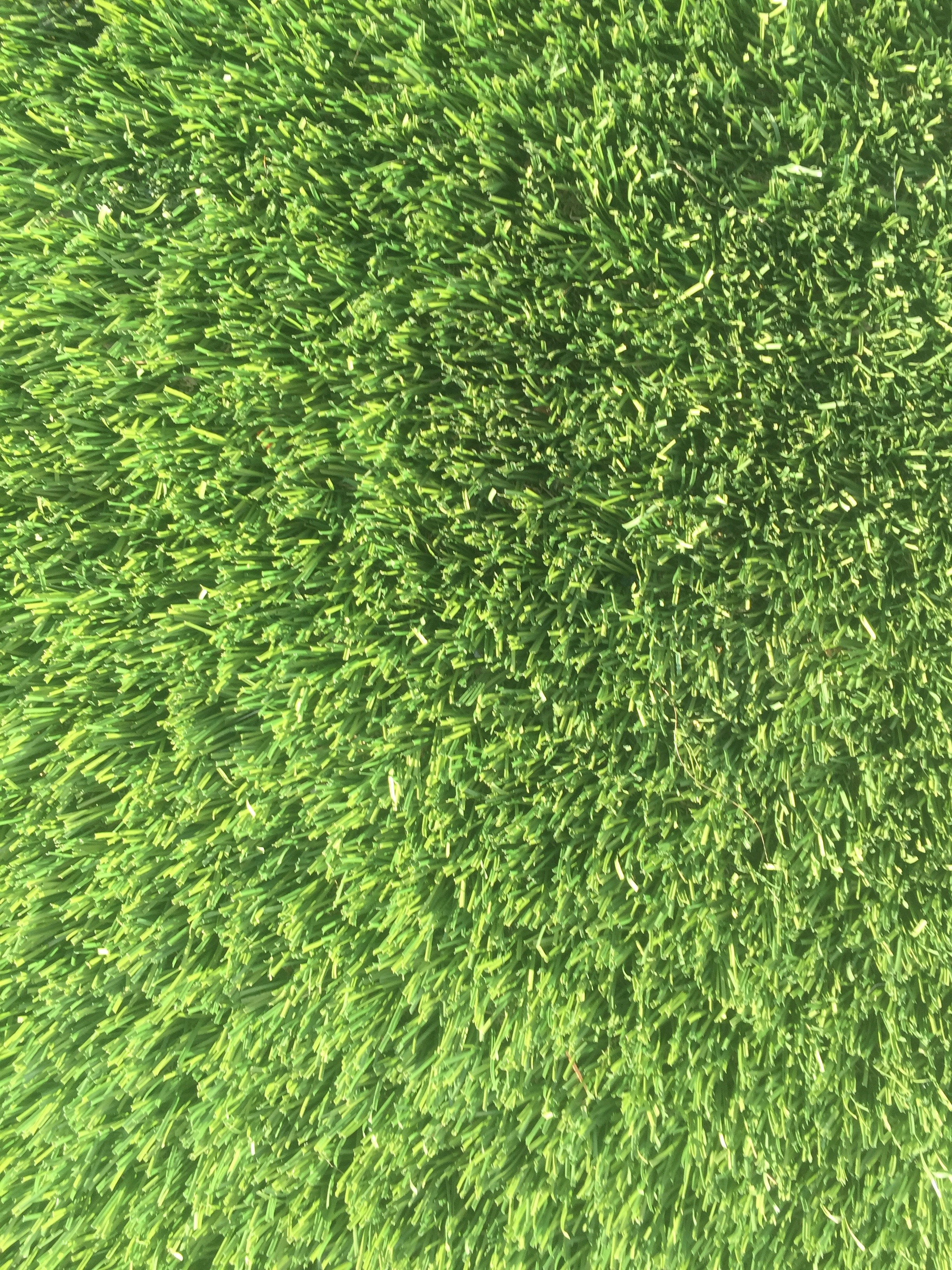 Astroturf green grass stock texture Free