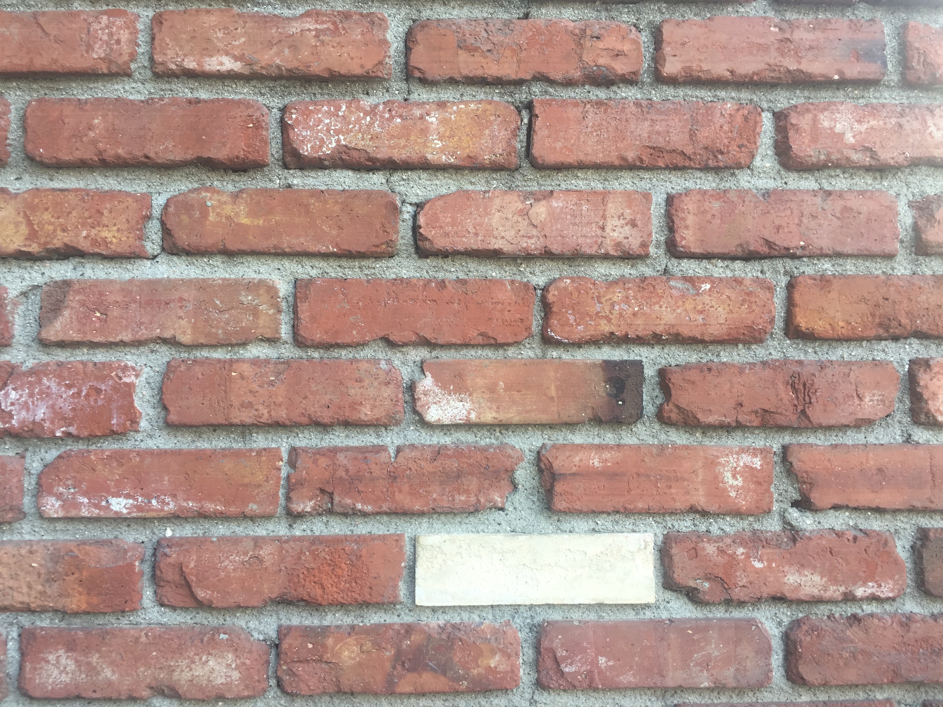 Wide Shot Of Brick Wall With Single White Brick Free Textures