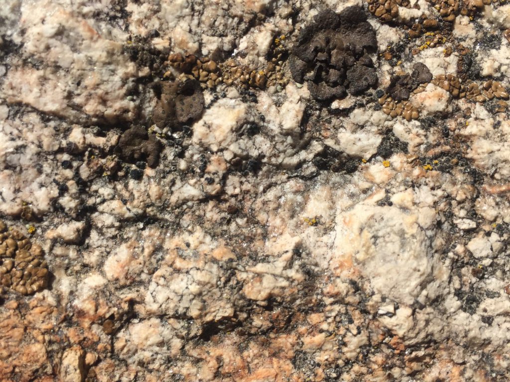 Close Up Granite Rock With Black Sap