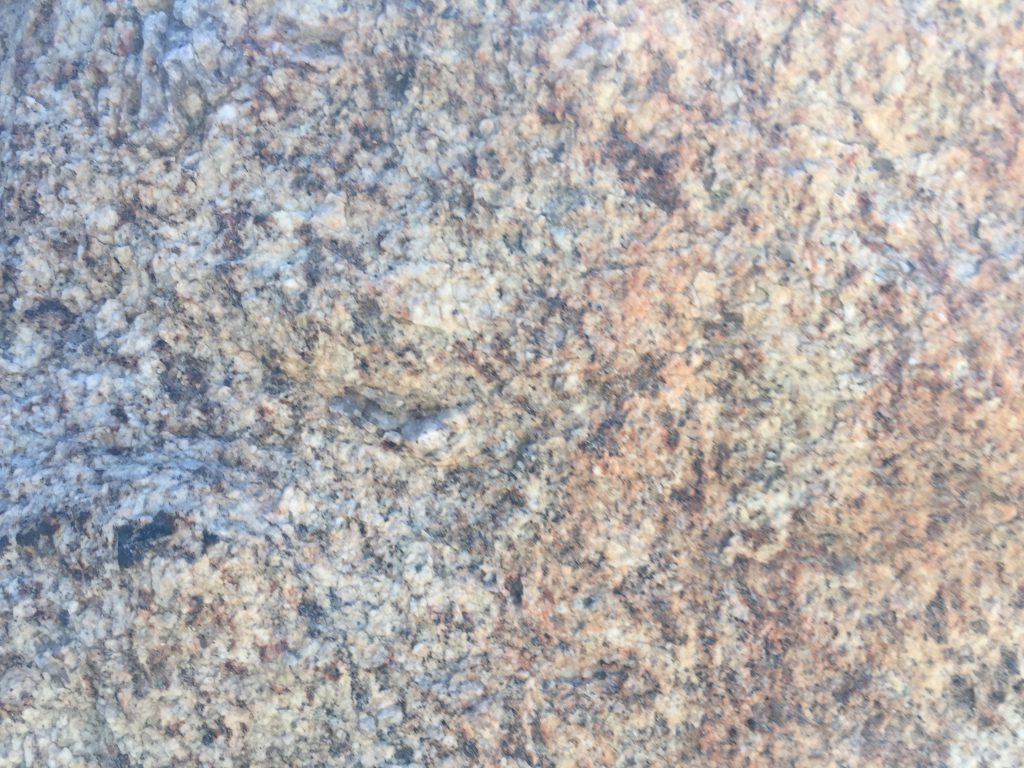 Granite Rock Close Up