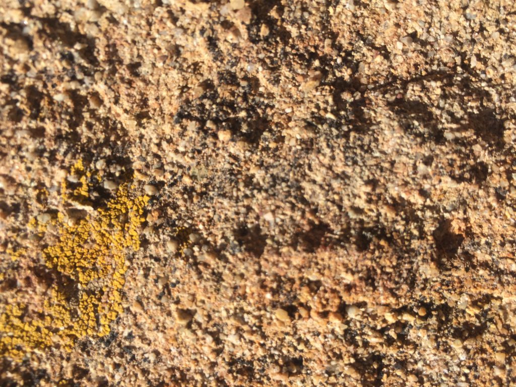 Close Up Rock Texture with Spot of Mold