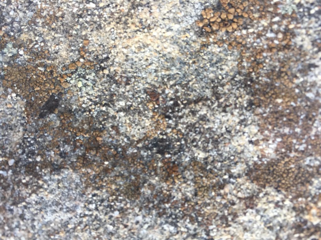 Metallic rock texture with specs of gold and silver