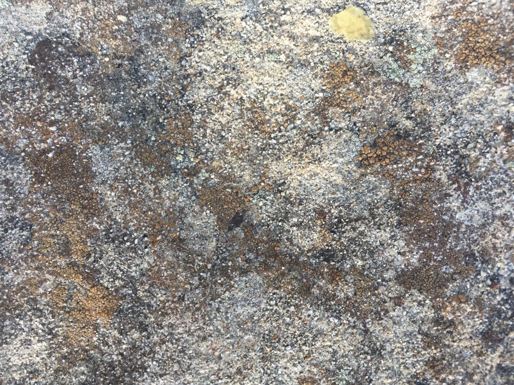 Metallic Rock with Gold Spots Stock Texture