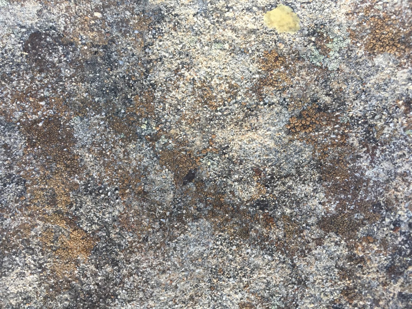 Metallic Rock With Gold Spots Free Textures