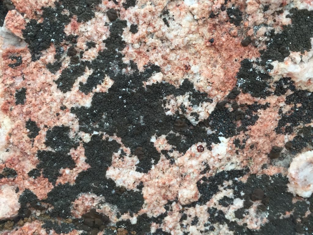 Close Up Pink Rock With Black Spots
