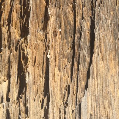 Splintered Dried Wood Stock Texture