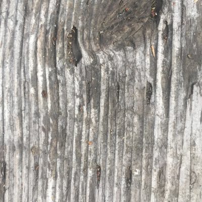 Close Up Wood Texture