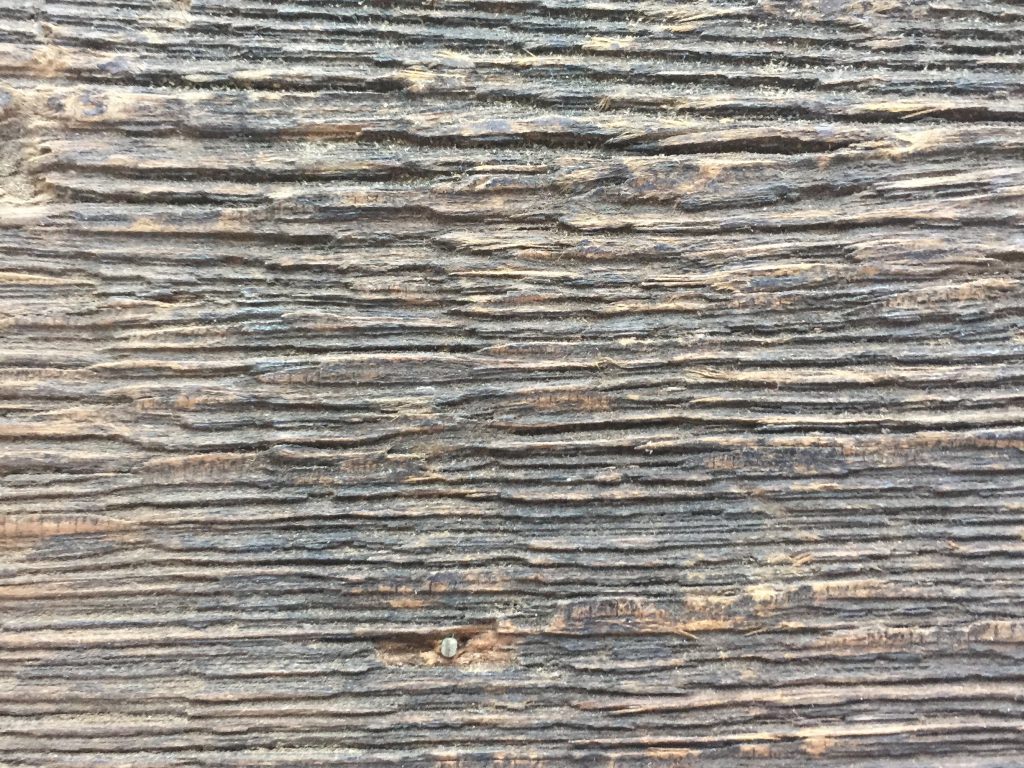 Free Wood Texture