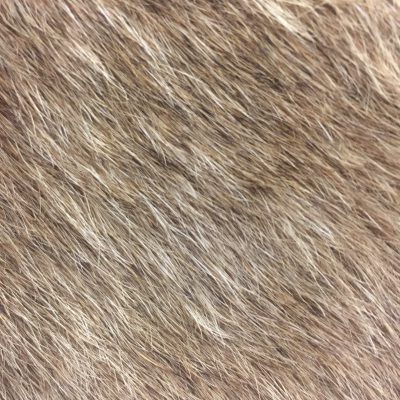 Hairy animal skin texture