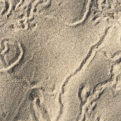 Noisy light brown sand with organic lines texture