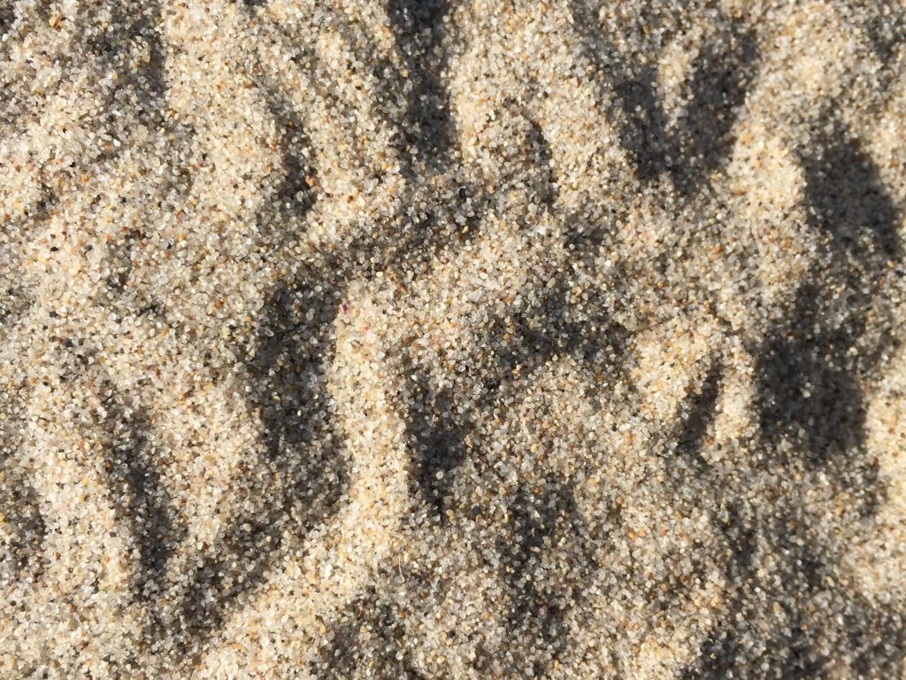 Ridges of sand with detailed grains of sand
