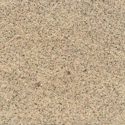 Speckled light brown wet beach sand