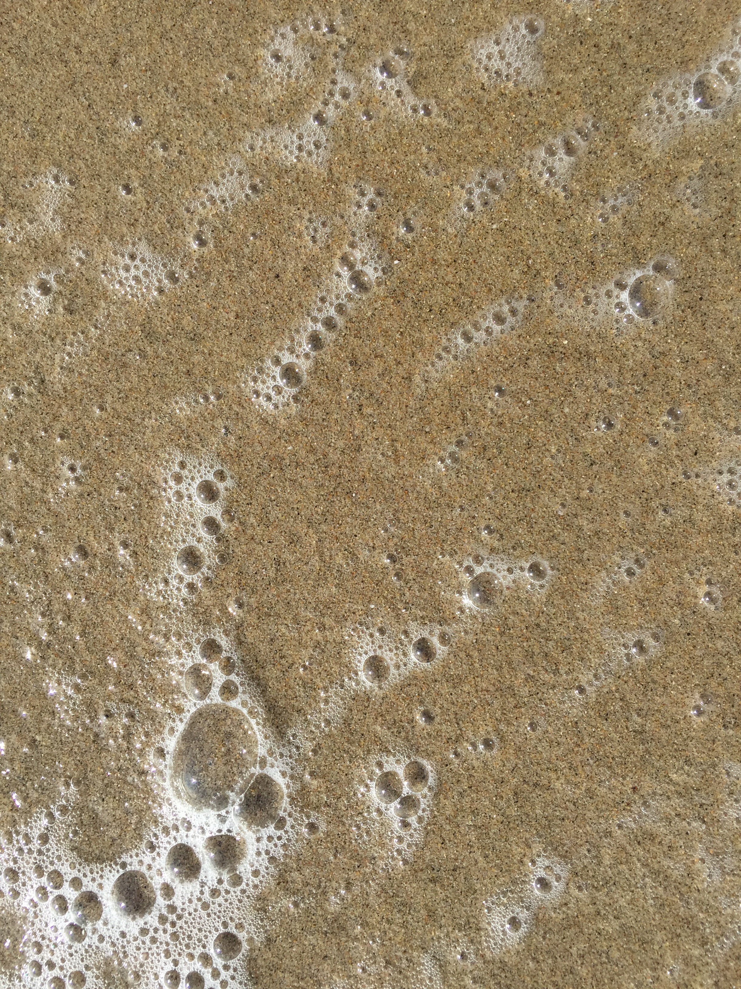Glossy wet sand white sea foam texture Free Textures