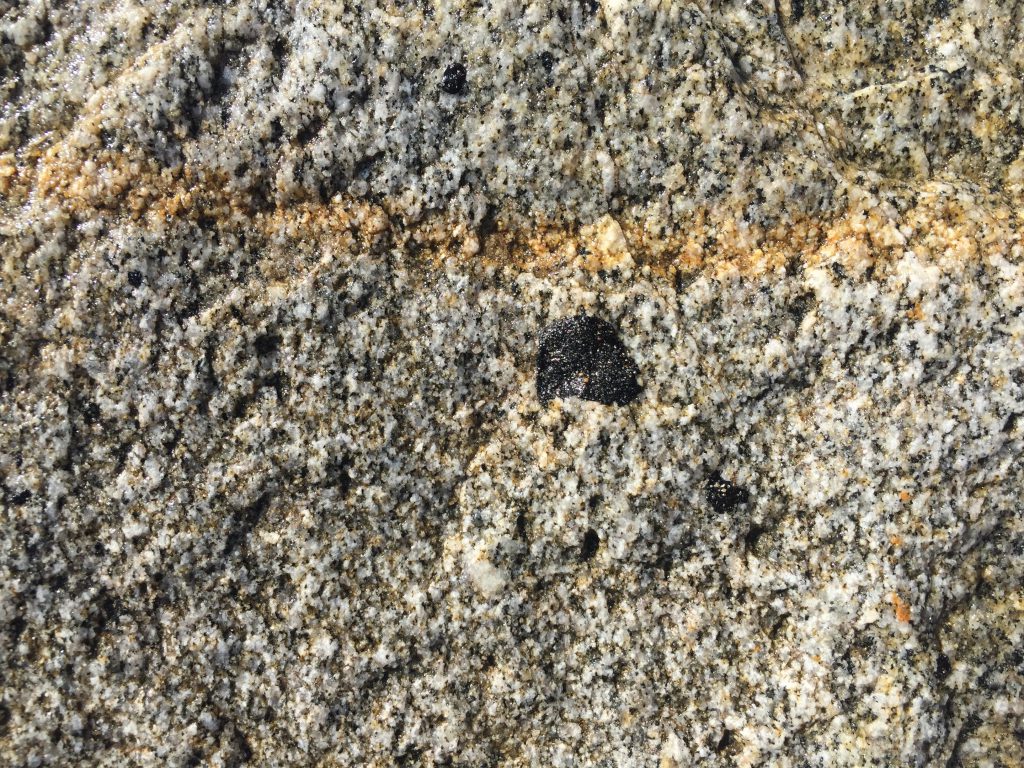 Black and white bumpy rock with metallic specs