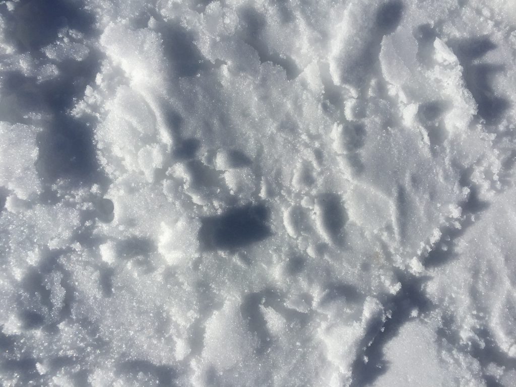 Detailed shot of crumbly snow