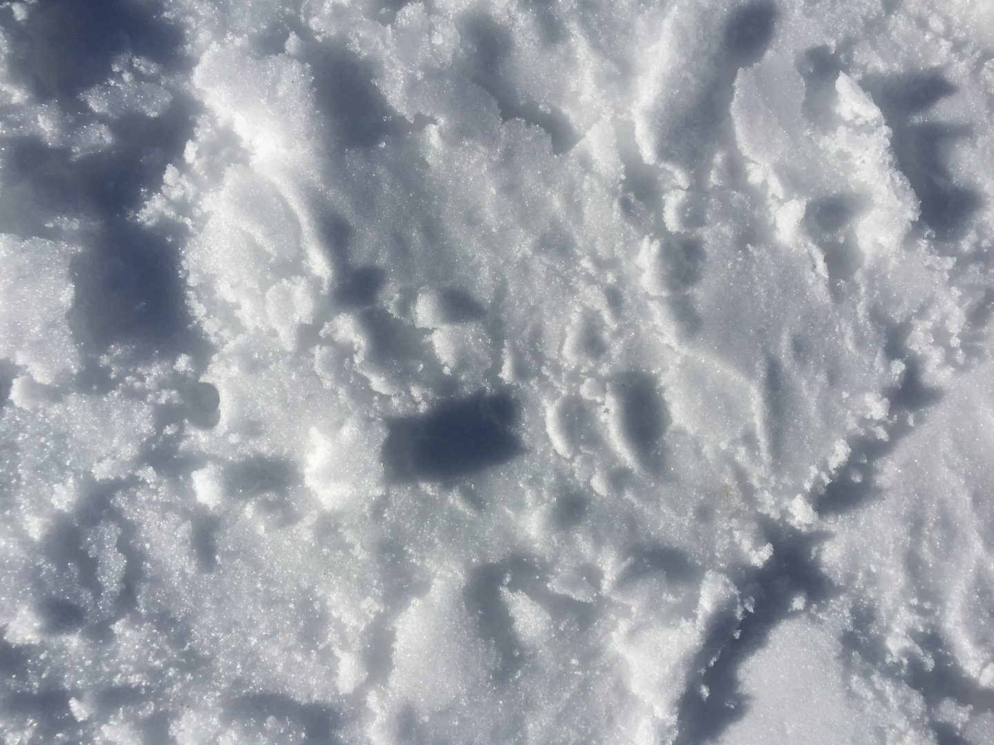 Close up of bed of snow with crumbles and visible crystals | Free Textures