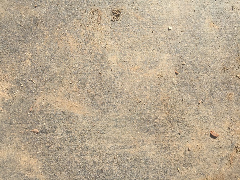 Dark mat covered in light brown dirt