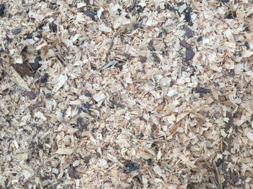 Light colored wood chips covering ground