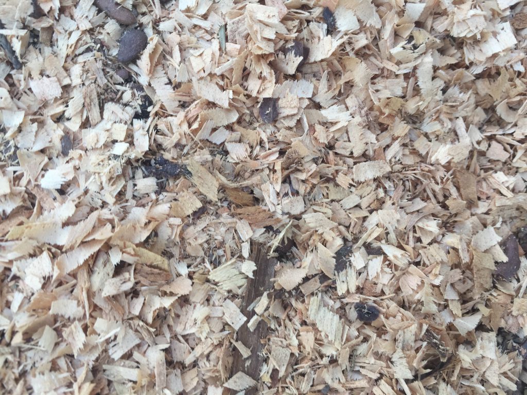 Close up of wood chips texture