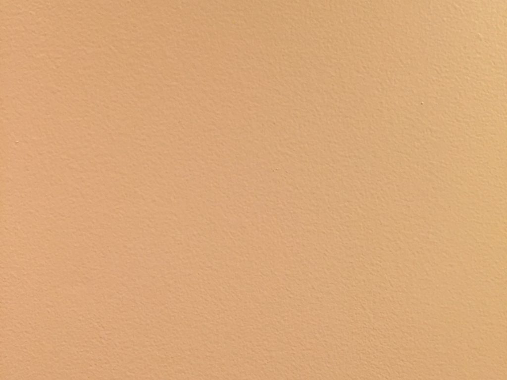Subtle paint texture on a flat tan wall