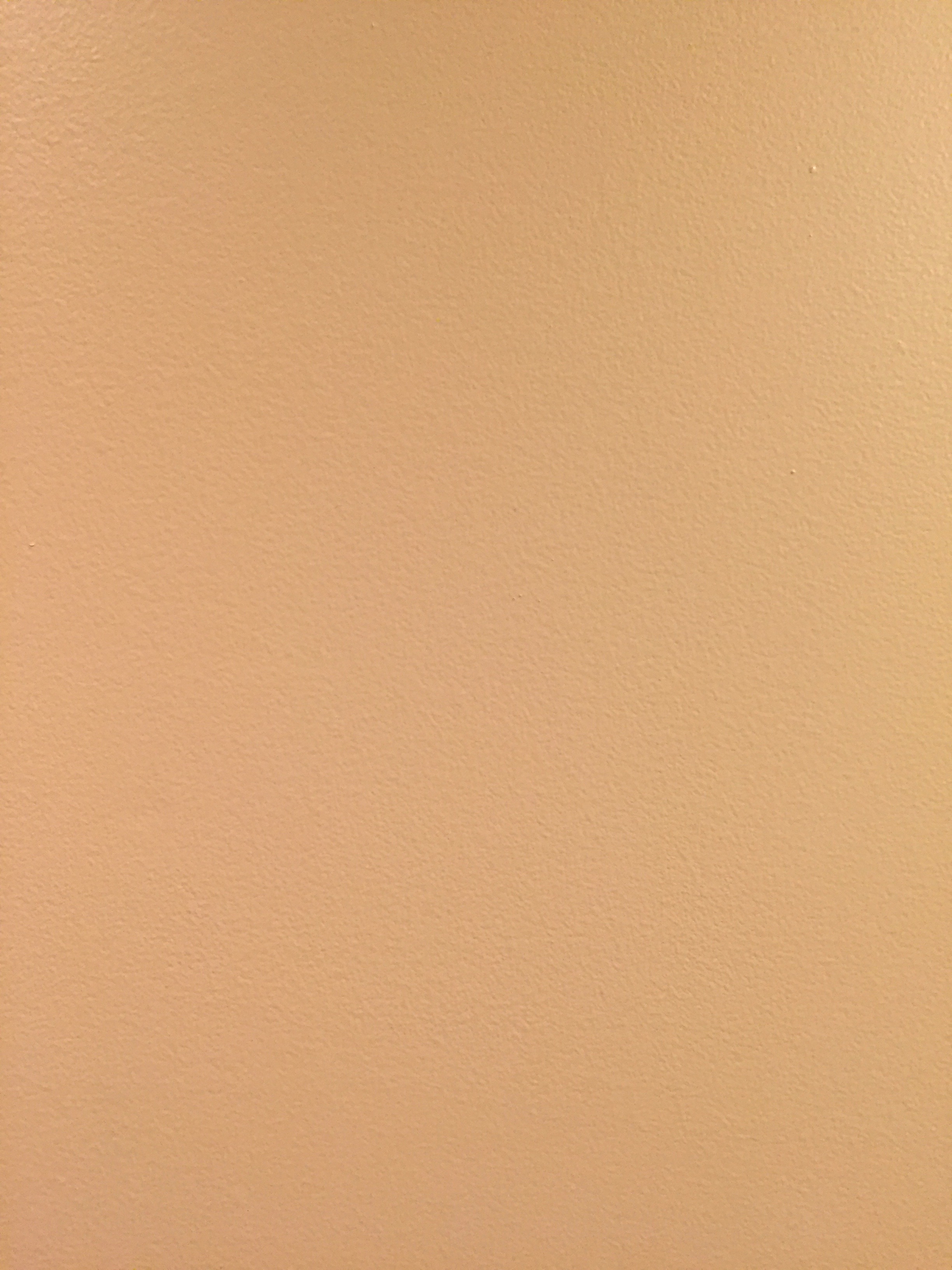 Subtle paint texture on a flat tan wall 