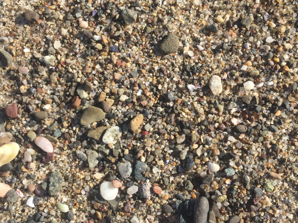 Sea shells and pebbles over granular sand