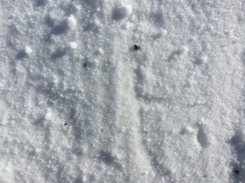 White crumbly snow bed