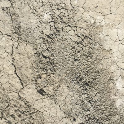 Dried mud with cracks