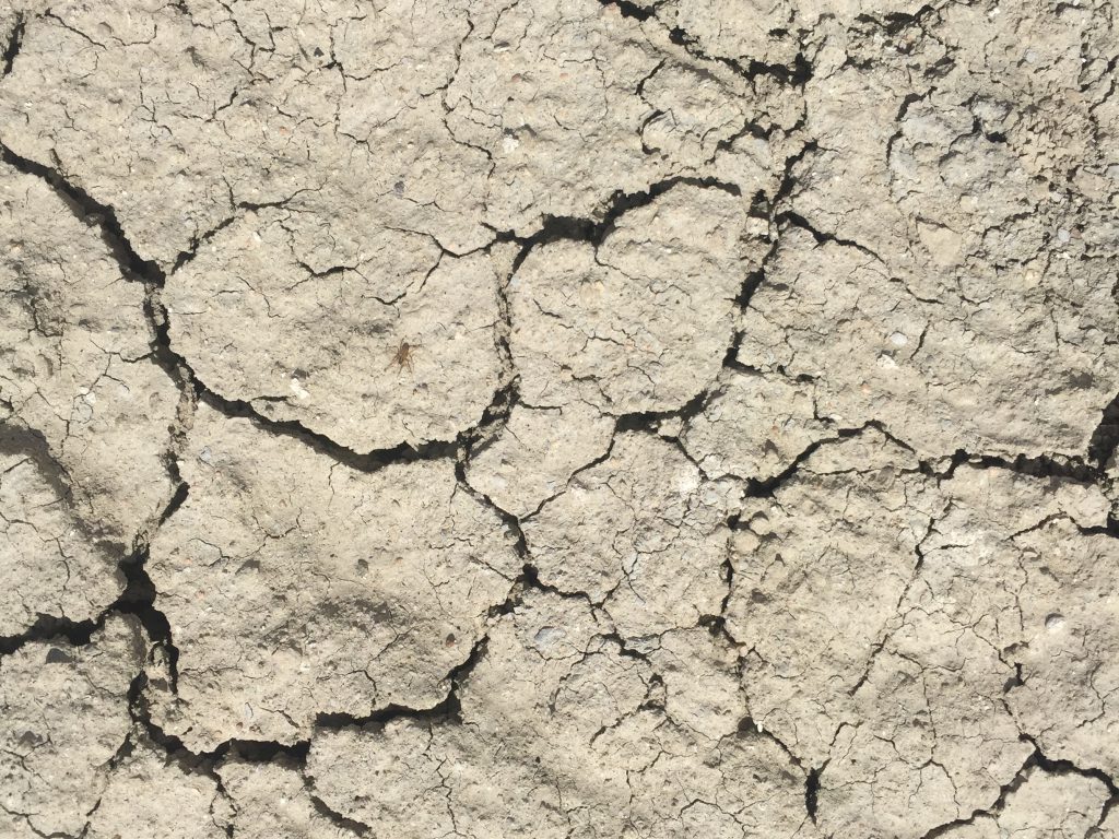 Rough light brown dirt with large cracks
