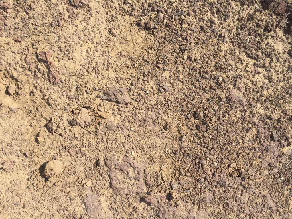 Click here to see High Resolution Image Light brown dried up earth with bits of red volcanic rock