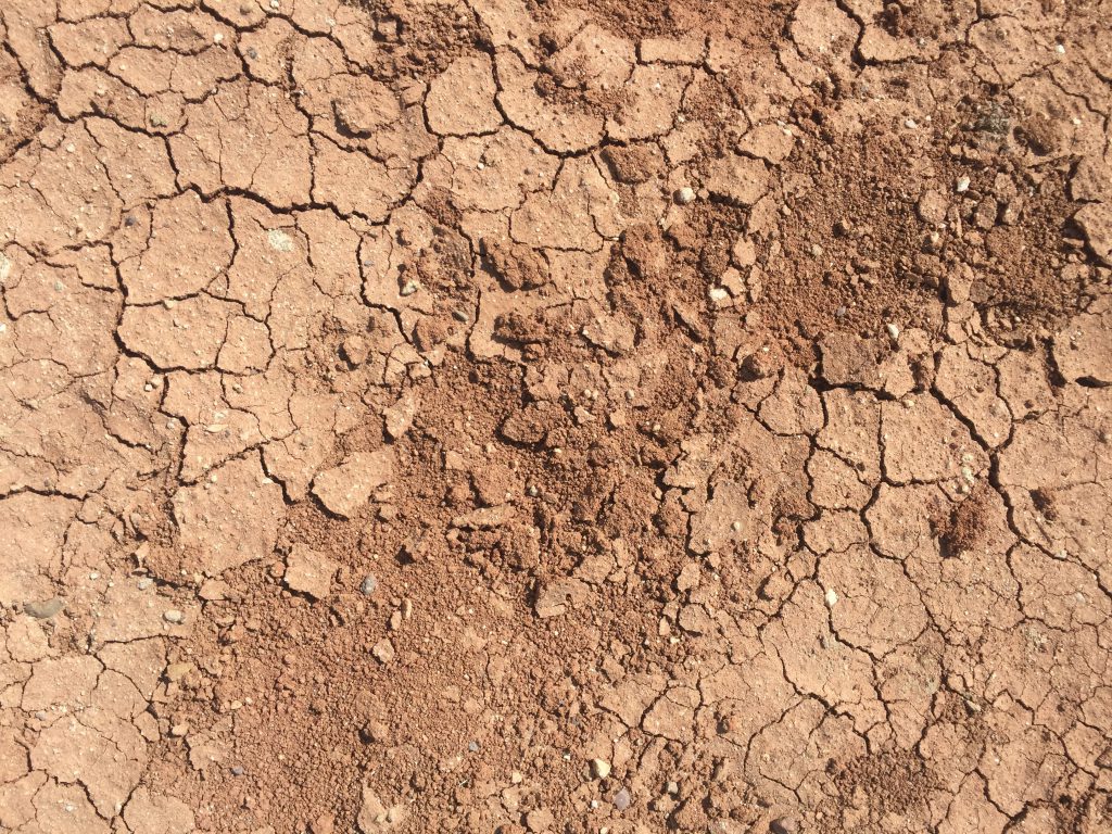 Smashed dry dirt with cracks
