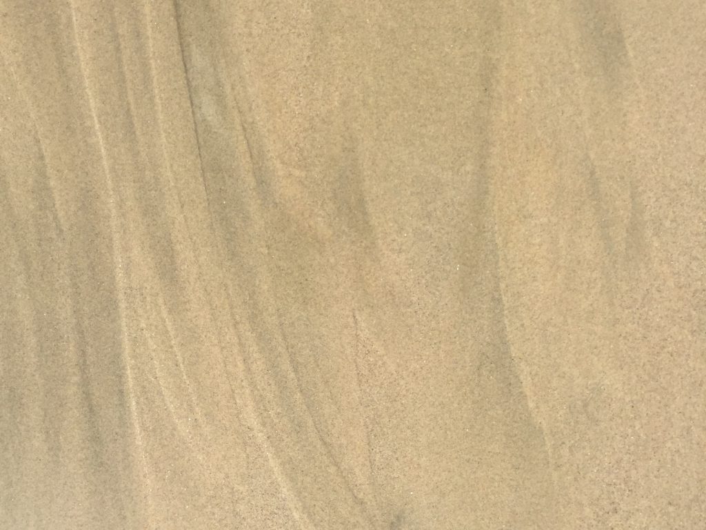 Rich brown wet sand