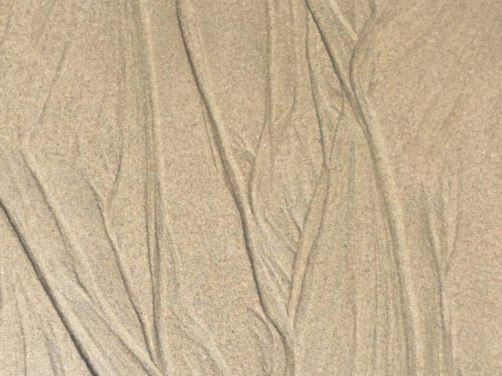 Grooves in wet sand created by tide
