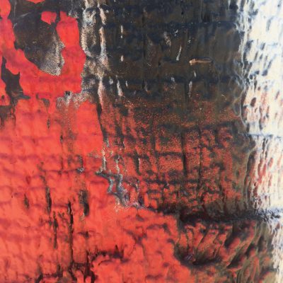 Vibrant red paint on palm tree bark