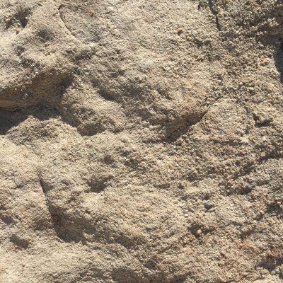 Rough sandy texture on large rock surface