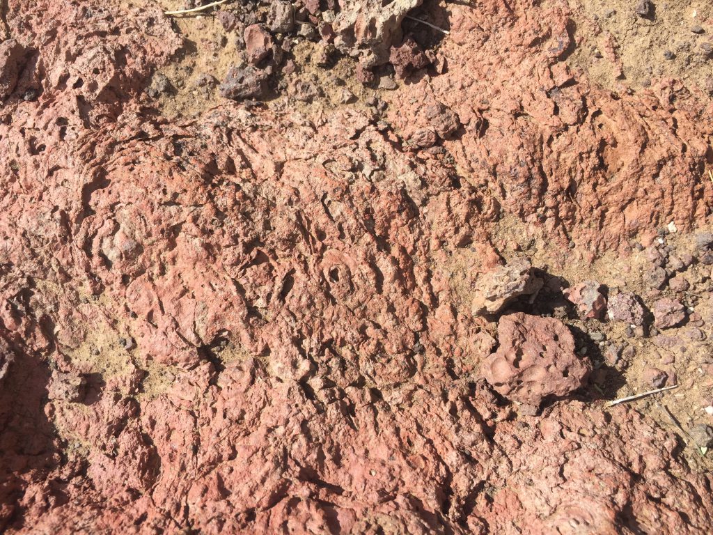 Close up of red lava rocks