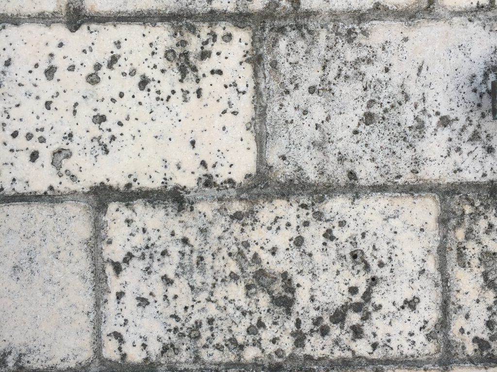 Detailed shot of off white old bricks