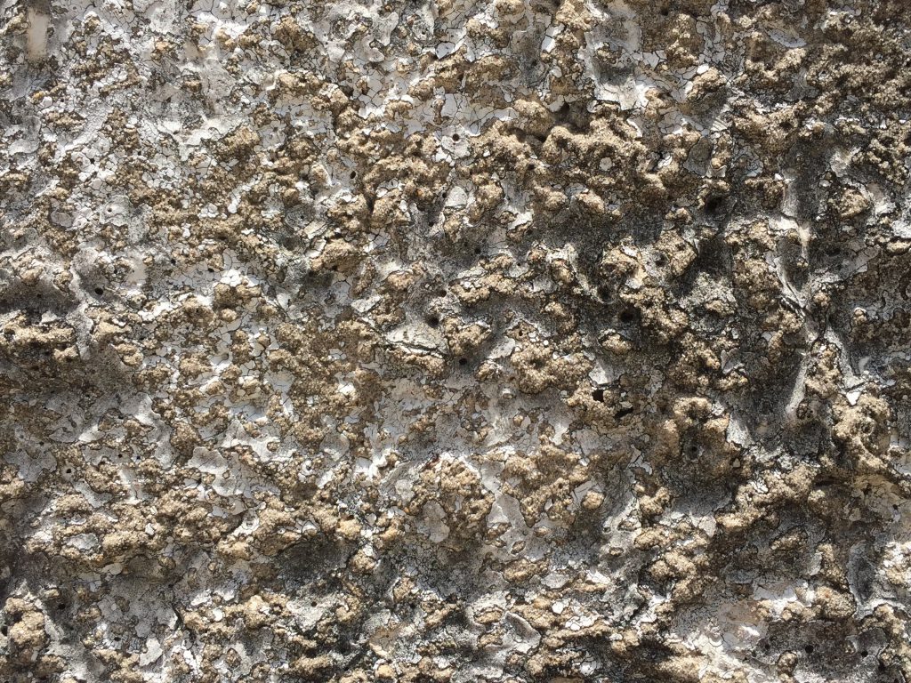 Sandy brown stucco with bits of white paint
