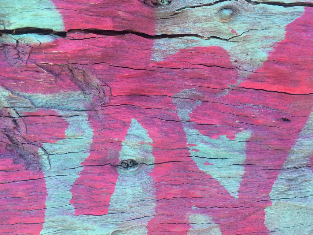 Cracking dried log painted