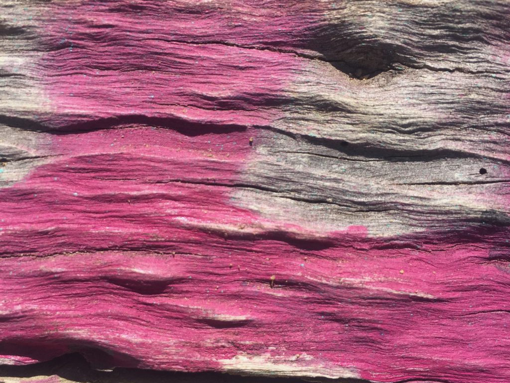 Bright pink spray paint over old dead wood